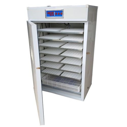 2025/01/1000789762.jpg eggs incubator - Image 1
